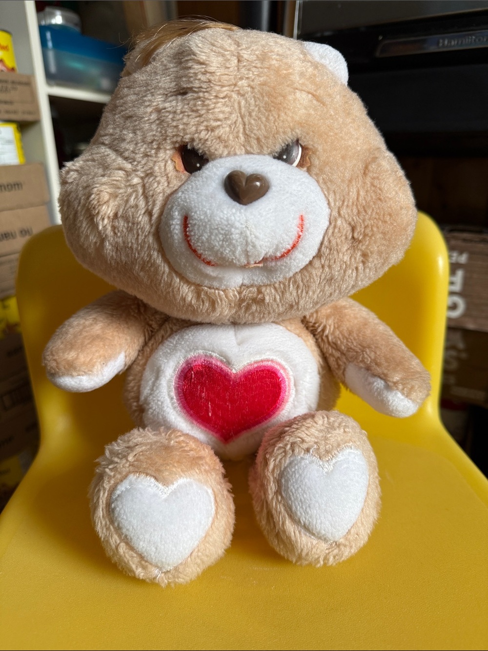 Vintage Care Bears